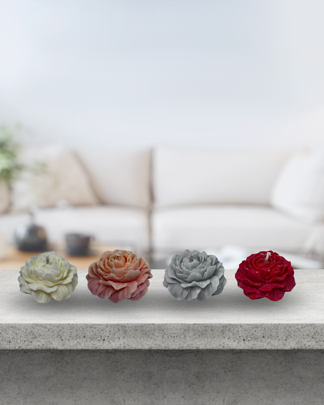 Majestic Rose