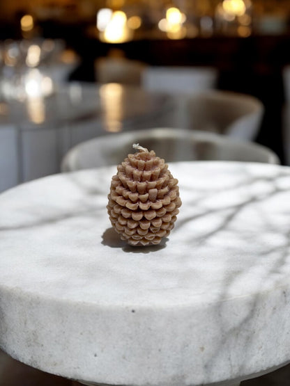 Pinecone Dreams