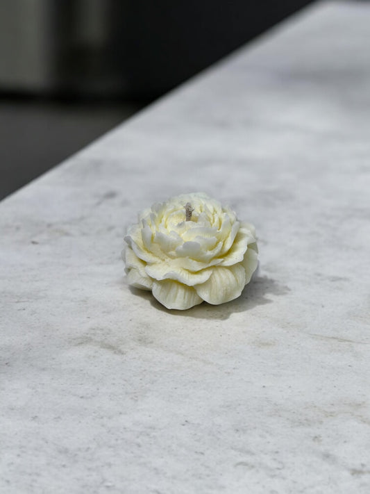 Majestic Rose